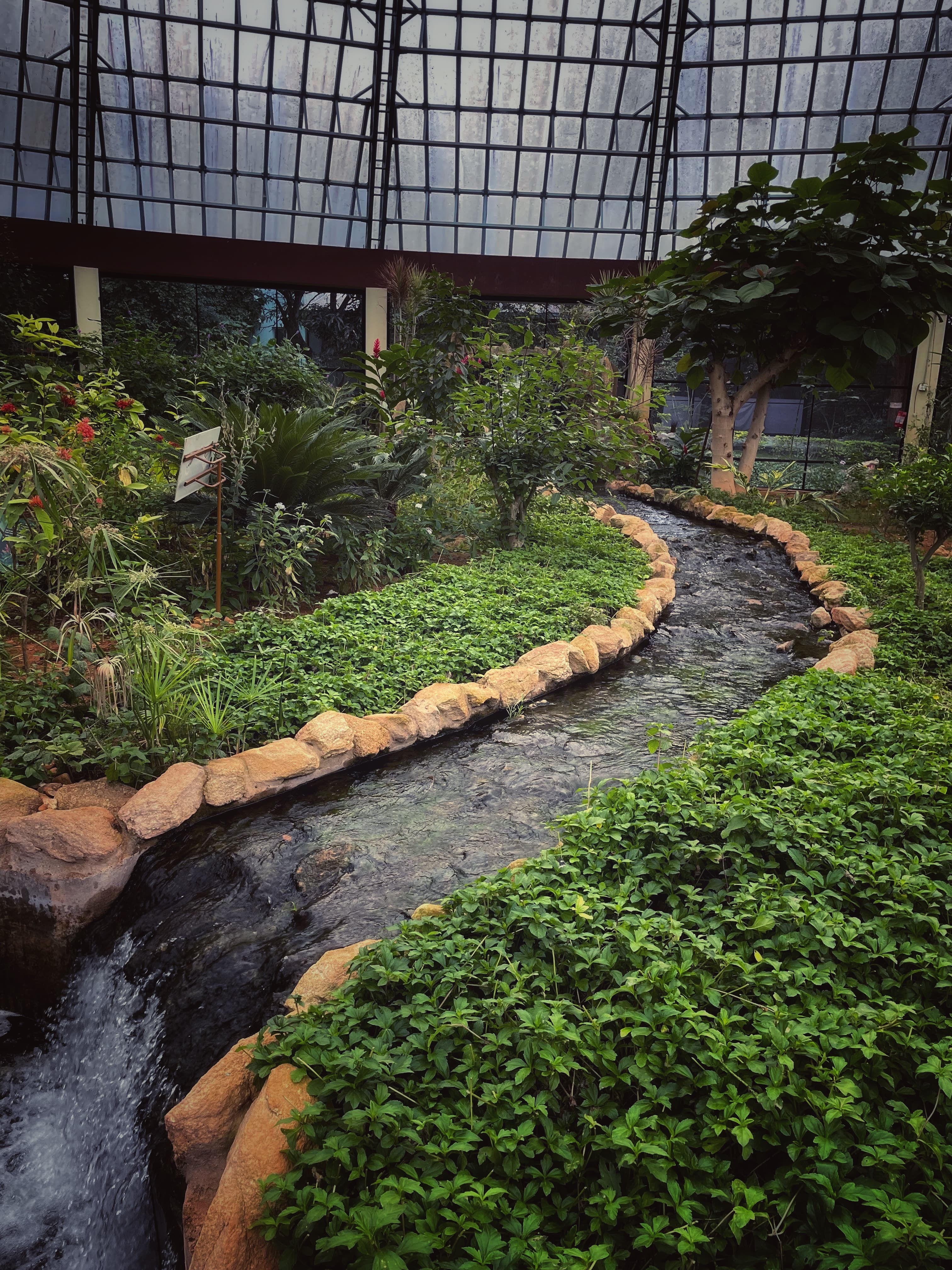 Bannerghata, Bangalore, 2021