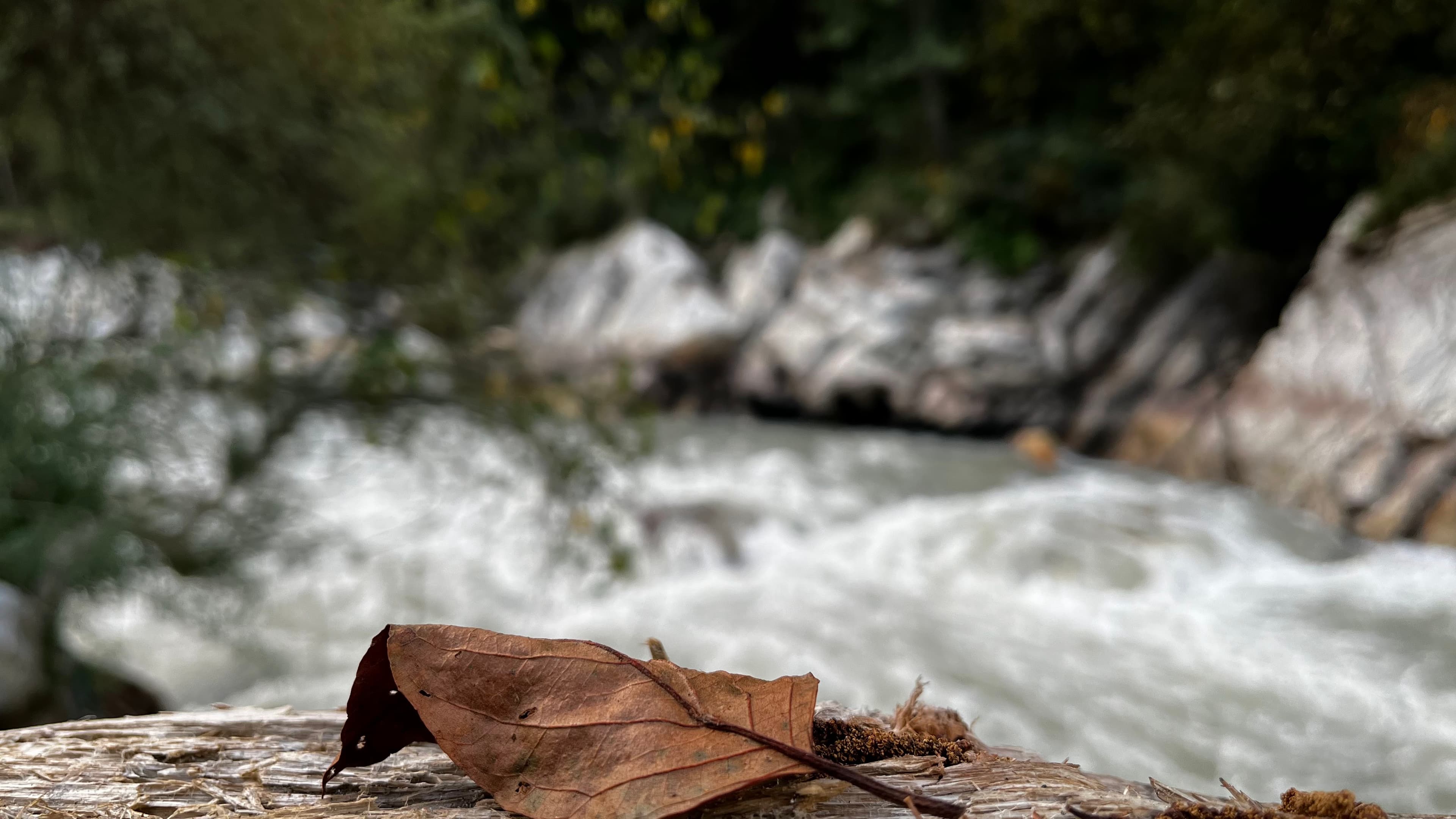 Kasol, Himachal Pradesh, 2023
