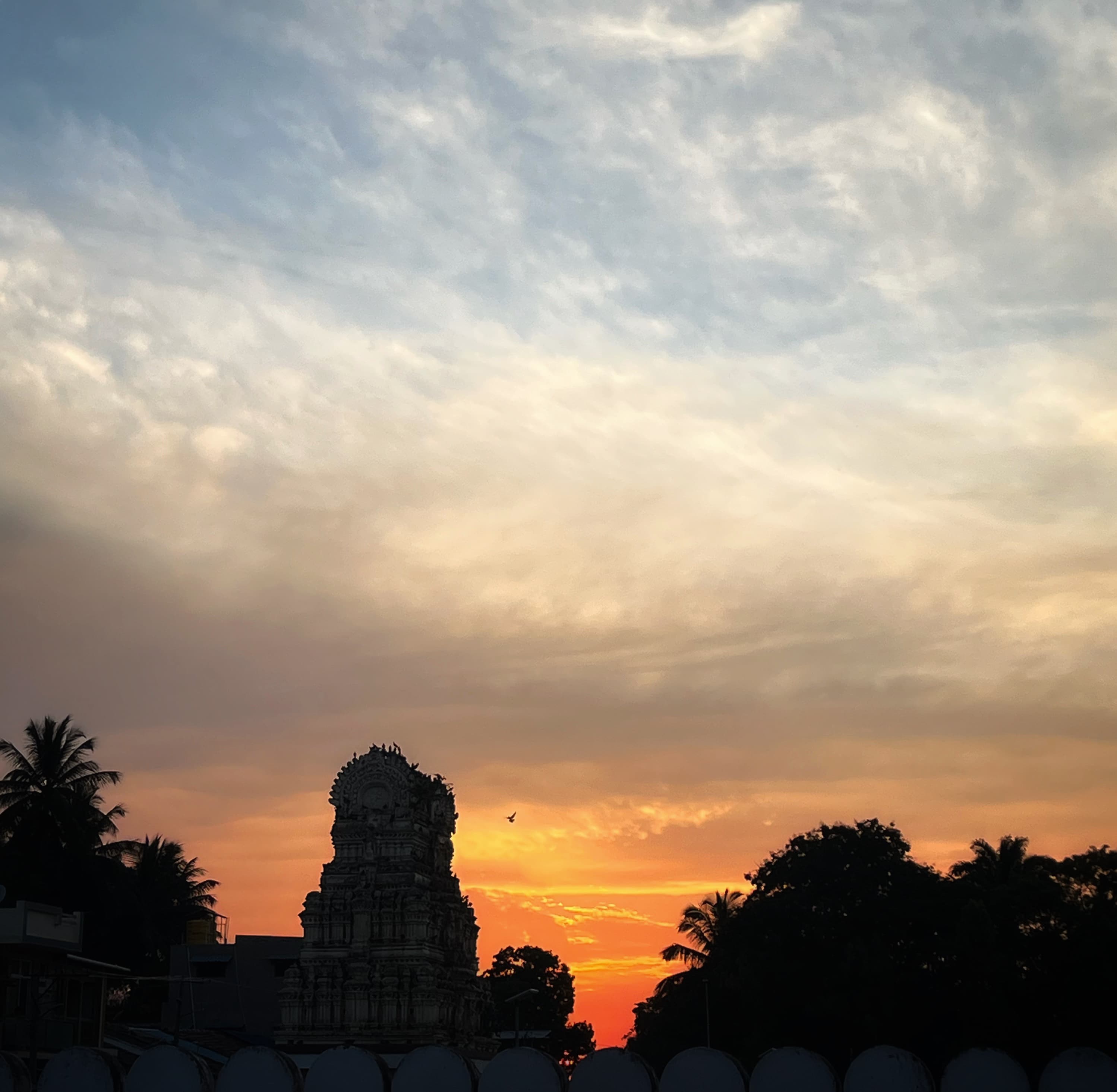 Shravanabelagola, Karnataka, 2025